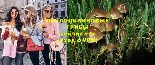 крисы Алексеевка
